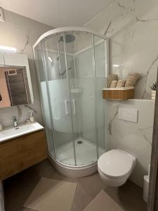 蒙斯Chambre neuve 1 ou 2 personnes的带淋浴、马桶和水槽的浴室 更多21张照片