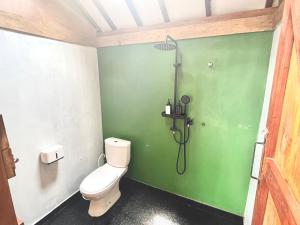 bagno verde con servizi igienici e doccia di Satha private villa Dieng a Banjarnegara