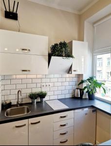 uma cozinha com um lavatório e algumas plantas no balcão em The Oasis - Heart of Riga em Riga