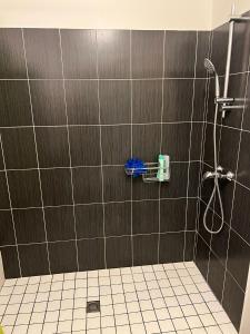 a bathroom with a shower with a tile wall at Appartement 2 Chambres avec Terrasse in Clermont-Ferrand