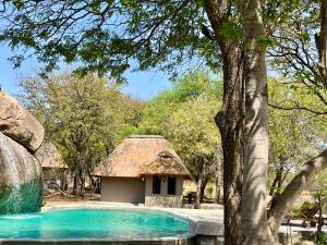 Bazén v ubytování Timbila Game Lodge - Welcome to Land of Leopards and Buffalo - Big Game Lodge nebo v jeho okolí
