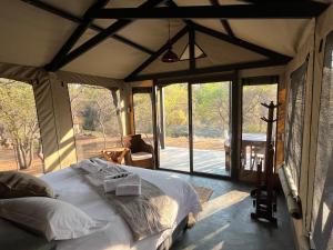 Posezení v ubytování Timbila Game Lodge - Welcome to Land of Leopards and Buffalo - Big Game Lodge + 37 fotografií