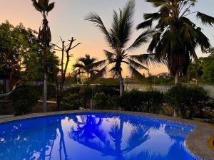 Piscina di Hera Hostel Diani o nelle vicinanze