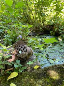 Fotografie z fotogalerie ubytování Cosy Cottage in Verwood, Dorset v destinaci Verwood
