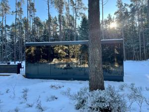 a glass house in the woods in the snow at Mustika Mirror minivilla saunaga in Kärdla