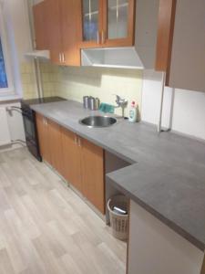 a kitchen with a sink and a counter top at rodinný dům in Třebíč