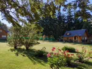 Gallery image of Natur Haus in Villa Traful +38 photos