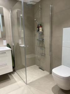 Ένα μπάνιο στο Aurora Apartment +15 φωτογραφίες