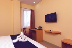 Μια τηλεόραση ή/και κέντρο ψυχαγωγίας στο Hotel Dafam Rio