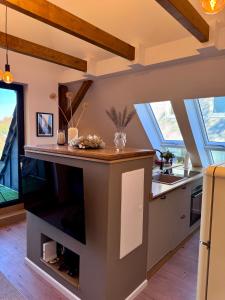 Η κουζίνα ή μικρή κουζίνα στο Apartment Roof +24 φωτογραφίες
