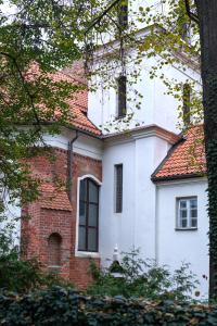 ヴィリニュスにあるLuxury Old Town Apartment with Terraceの赤レンガ白家