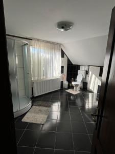 a bathroom with a shower and a toilet and a sink at Plaiul Bucovinei in Horodnic de Sus