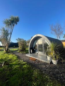 una piccola casa a cupola con portico e palme di Tra na Mbó Glamping Pod a Waterford