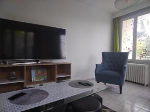 a living room with a flat screen tv and a chair at Appartement familial face à un square arboré in Enghien-les-Bains +17 photos