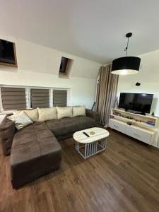 Televiisor ja/või meelelahutuskeskus majutusasutuses Memento Apartman Divcibare