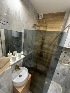 A bathroom at Memento Apartman Divcibare