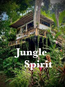 Fotografie z fotogalerie ubytování Jungle Spirit Treehouse v destinaci Cahuita