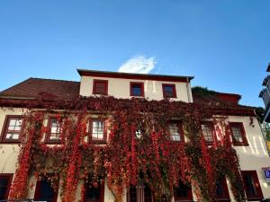 a building with a bunch of ivy on it at Altstadtwohnung Kromers & Restaurant in Erfurt