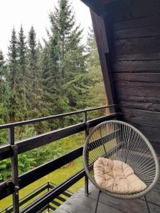 兹拉蒂博尔Pine tree cottage的相册照片