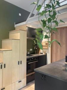 a kitchen with white cabinets and a plant at Sfeervol Tiny House in het Bos in Diessen