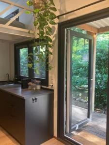 a kitchen with a large window and a plant at Sfeervol Tiny House in het Bos in Diessen +13 photos