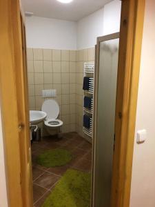 Koupelna v ubytování Klidné ubytování v Orlických horách