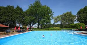 a group of people swimming in a swimming pool at Sfeervol Tiny House in het Bos in Diessen