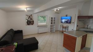 TV a/nebo společenská místnost v ubytování Apartma Apollonio
