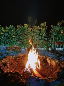 Fotografie z fotogalerie ubytování Cottages DILA v destinaci Stepancminda