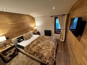 Chalet Millou Beuil的电视和/或娱乐中心