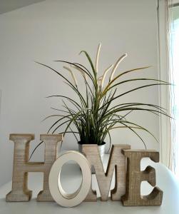 a plant in a pot on top of a wooden word home at Appartement cosy et calme avec parking et terrasse privés in Cravanche +5 photos
