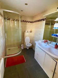 a bathroom with a shower and a toilet and a sink at Appartement Cosy avec extérieur au calme in Rocbaron
