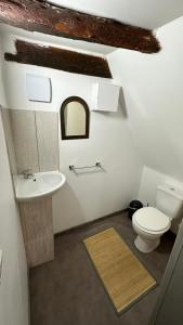 a bathroom with a toilet and a sink at Charmante maison de village in Condat-sur-Vézère