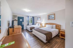 Postel nebo postele na pokoji v ubytování Bluebird Motel