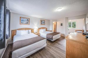 Postel nebo postele na pokoji v ubytování Bluebird Motel