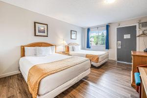 Postel nebo postele na pokoji v ubytování Bluebird Motel