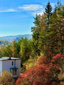 una casa blanca en medio de árboles en Luxusní Apartmány Krumlovský Vltavín, en Český Krumlov