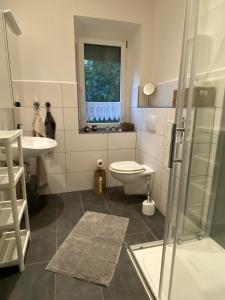 a bathroom with a toilet and a sink and a shower at Pension Gut Runge in Kiebitz