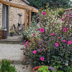 a garden with pink flowers in front of a house at Le gîte du courtil in Tressé