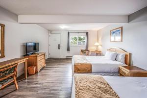 Postel nebo postele na pokoji v ubytování Bluebird Motel