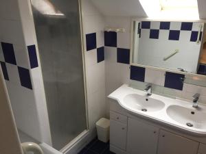 un bagno con lavandino e doccia di Gîte tout équipé au calme a Saint-Amand-les-Eaux