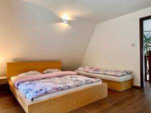 a bedroom with two beds and a ceiling fan at Chata pri jazere in Banská Belá