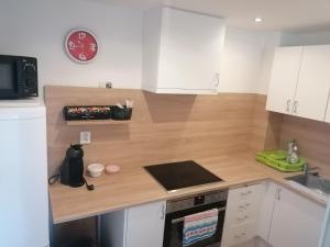 Kuchyň nebo kuchyňský kout v ubytování Apartmán Dobrá mysl