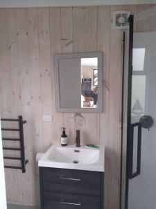 ein Badezimmer mit einem weißen Waschbecken und einem Spiegel in der Unterkunft Twin Totara Cottage in Mangawhai