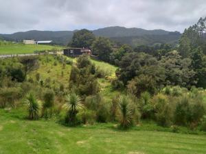 ein Feld mit einem Haus auf einem Hügel mit Bäumen in der Unterkunft Twin Totara Cottage in Mangawhai