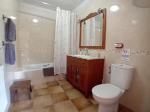 a bathroom with a toilet and a sink and a mirror at Stone Cottage O CEBREIRO in Curtis +42 photos