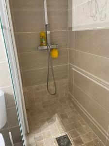 a shower with a hose in a bathroom at Duplex Le Colibri 2-4p confort internet piscine plage à 5min in Sainte-Anne