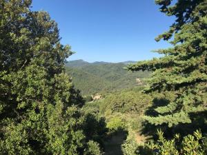 a view of a valley with trees and mountains at La Petite Maison sur la Colline in Chassiers +4 photos