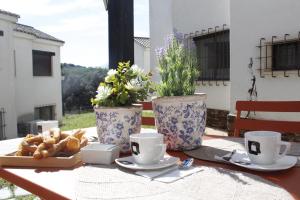 Μπαλκόνι ή βεράντα στο TEJADILLA Casita Rural Cerca de Sevilla con Chimenea