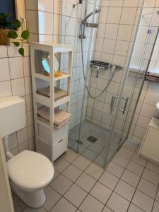 a bathroom with a shower and a toilet and a sink at Ferienwohnung Schildblick Modernes Apartment direkt in der Altstadt von Erfurt nahe der Krämerbrücke - beste Innenstadtlage in Erfurt +23 photos
